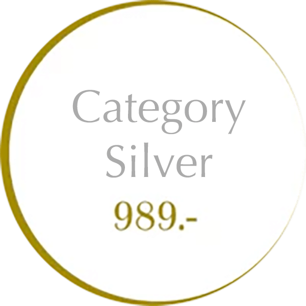 Button Category Silver 989,-